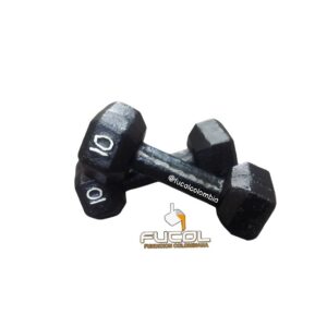 2 MANCUERNAS HEXAGONALES DE 10 LBS